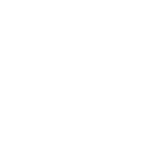 SMAEL